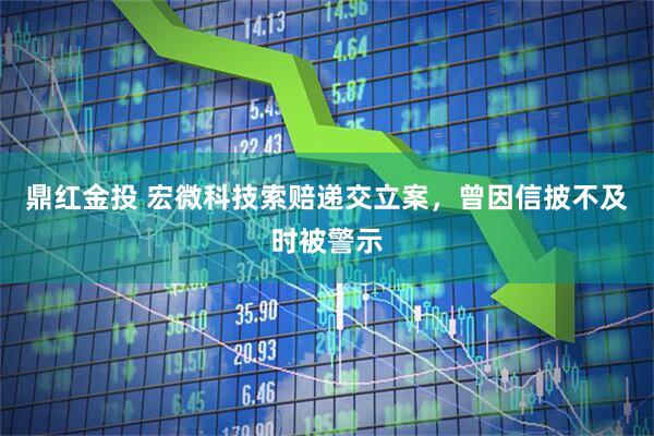 鼎红金投 宏微科技索赔递交立案，曾因信披不及时被警示