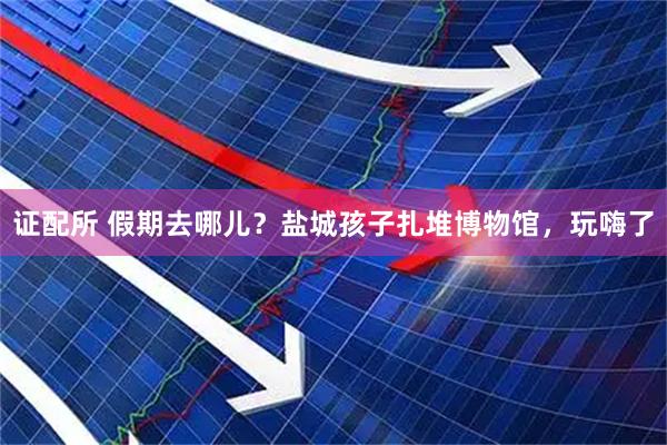 证配所 假期去哪儿？盐城孩子扎堆博物馆，玩嗨了